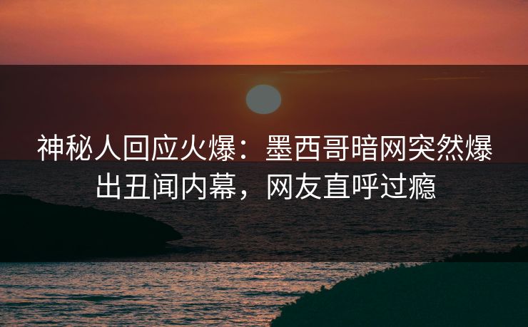 神秘人回应火爆：墨西哥暗网突然爆出丑闻内幕，网友直呼过瘾