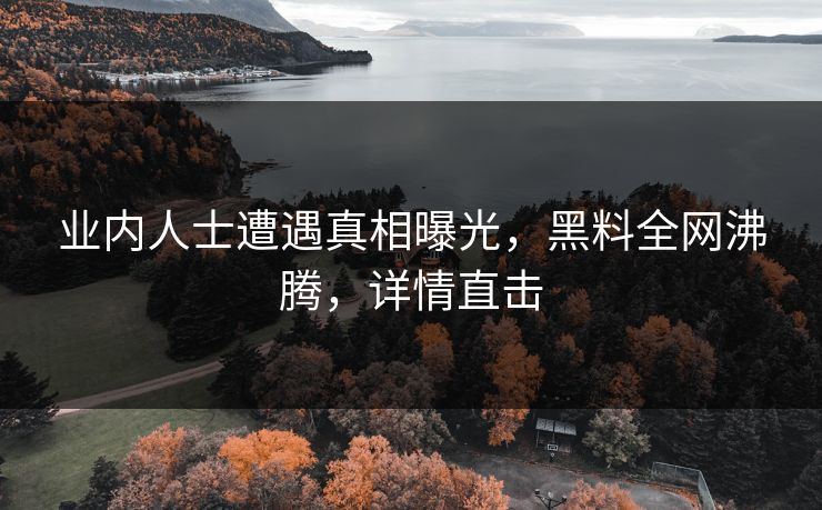 业内人士遭遇真相曝光，黑料全网沸腾，详情直击