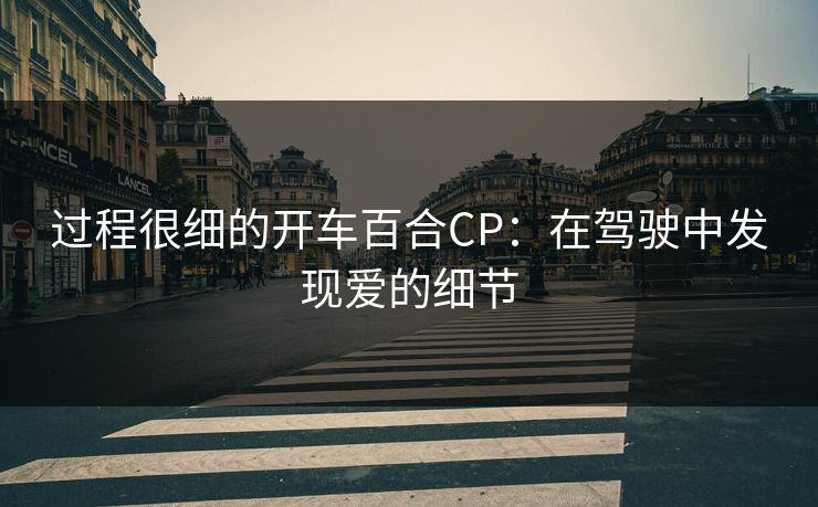 过程很细的开车百合CP：在驾驶中发现爱的细节