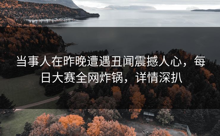 当事人在昨晚遭遇丑闻震撼人心，每日大赛全网炸锅，详情深扒